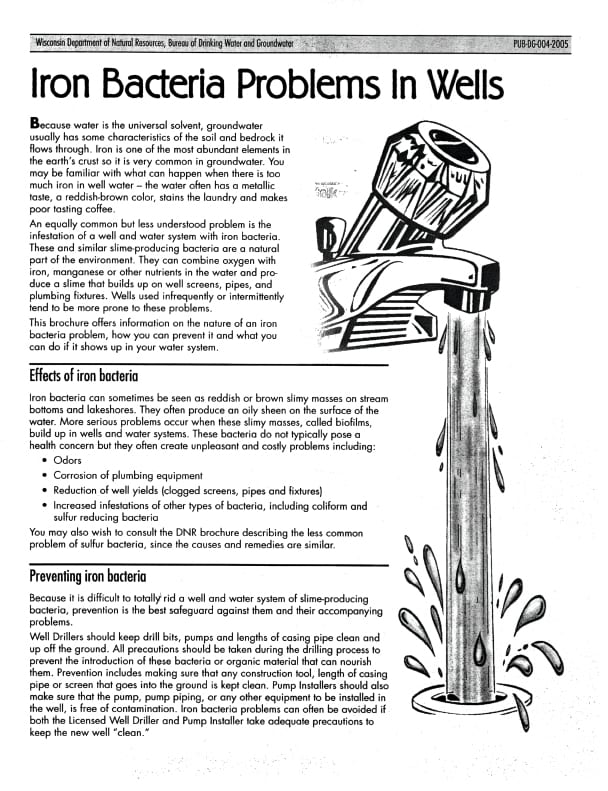 cover of article
