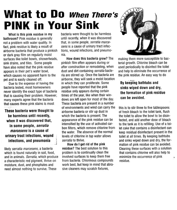 cover of article