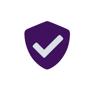 Security check Icon